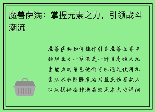 魔兽萨满:掌握元素之力,引领战斗潮流